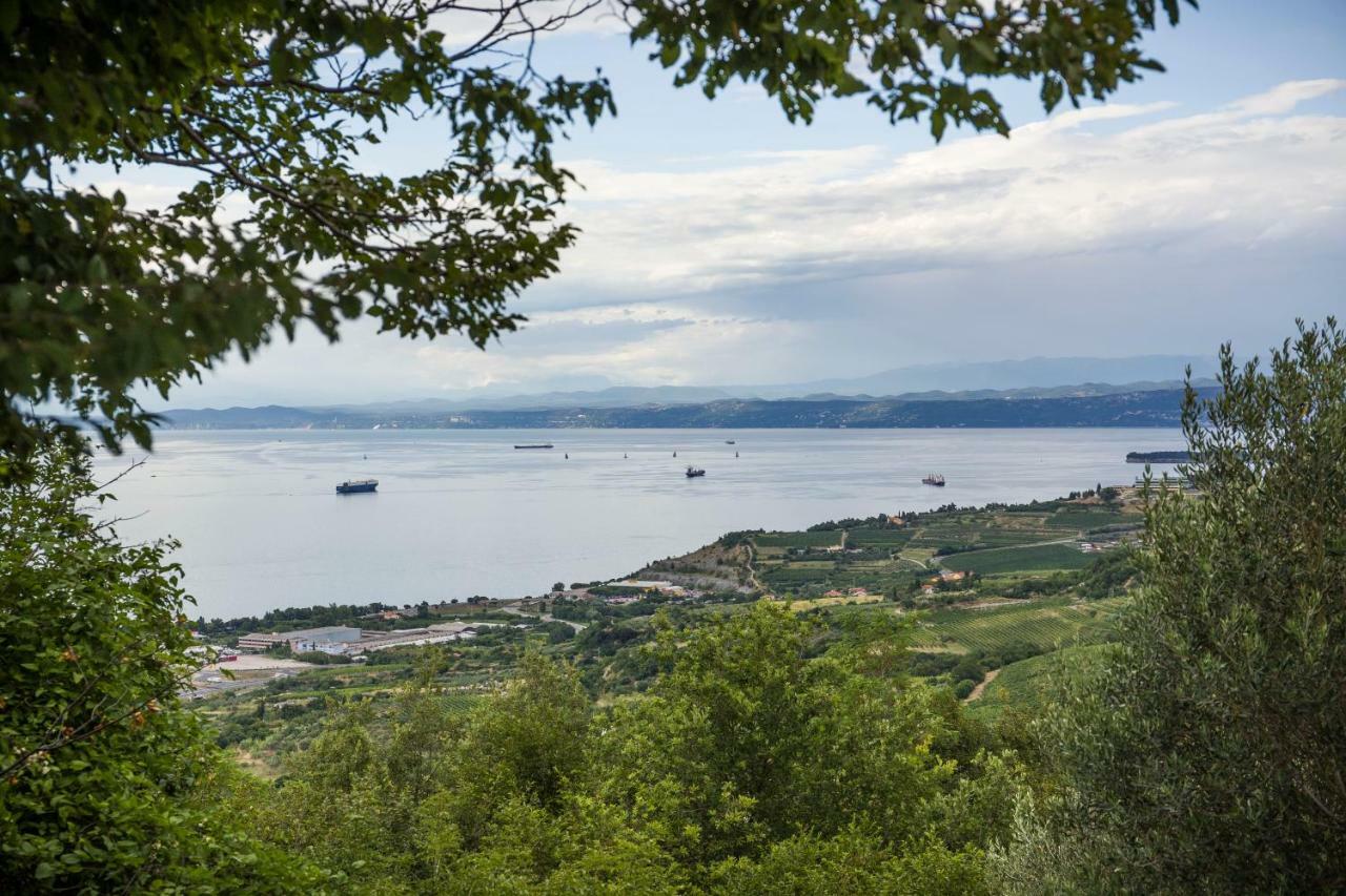 Apartments Baredi Izola Exterior photo